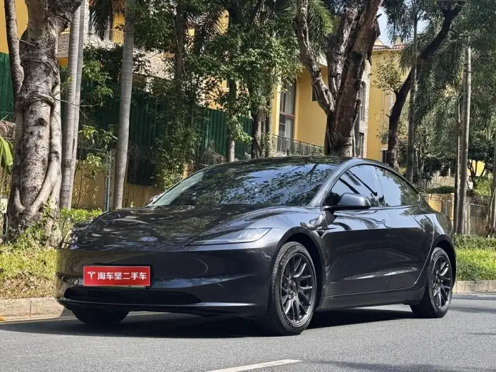 Model 3 2023 Model Long Battery Life Pro All-wheel drive version – фото 1