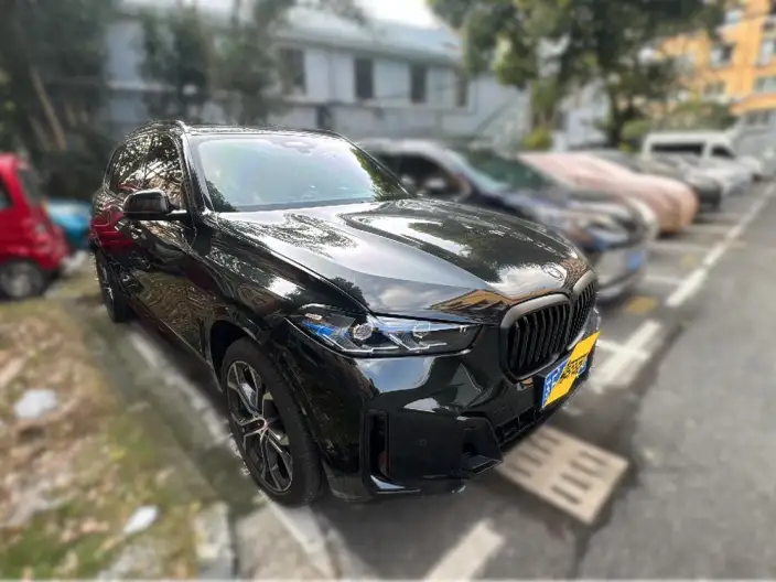 BMW X5 2026 Model Facelift xDrive40Li M Sports Night Set – фото 3