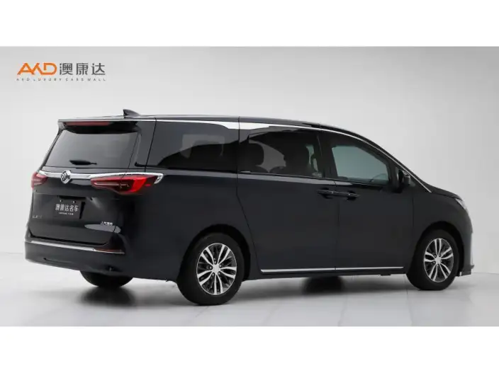 Buick GL8 2023 Model ES Luzun 2.0T Comfort Model
