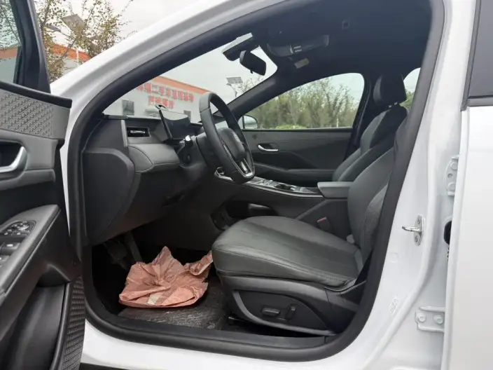 BYD Qin PLUS DM 2026 Model DM-i 210KM Enterprising Model – фото 10
