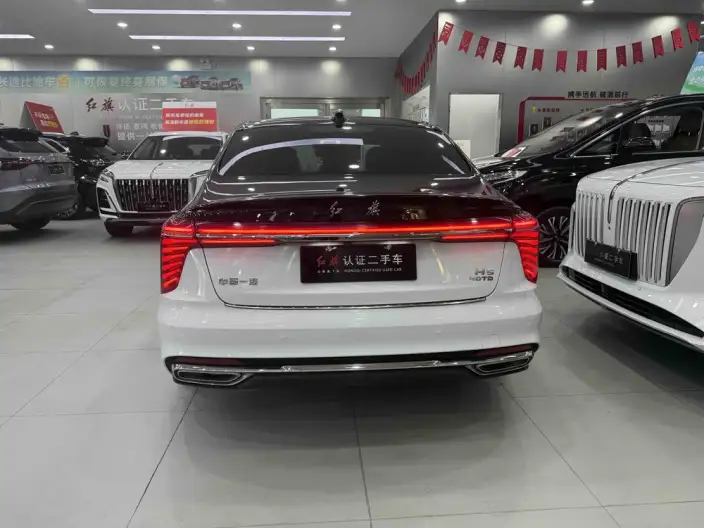Hongqi H5 2025 Model 2.0T Automatic Flag Enjoy Edition – фото 5
