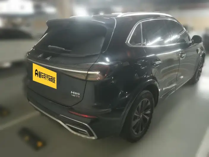Hongqi HS5 2023 Model 2.0T Flag Xiang Pro Edition