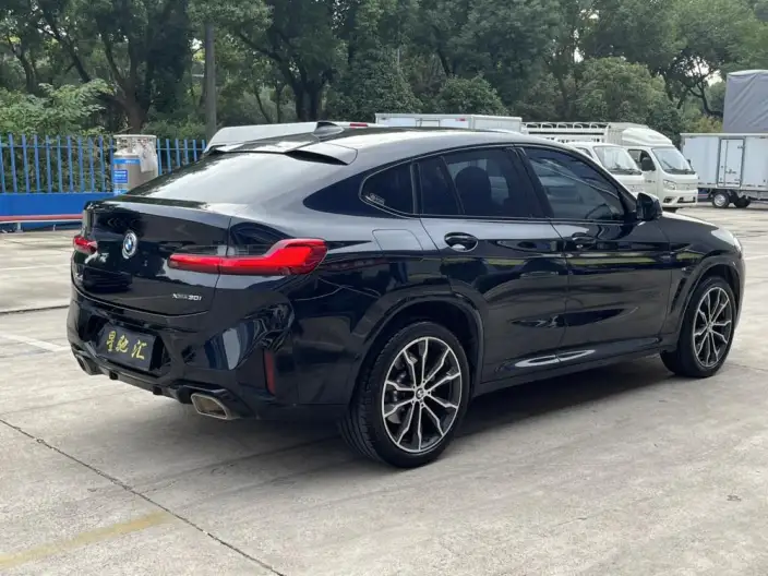 BMW X4 2022 Model xDrive 30i M Sports Set – фото 6
