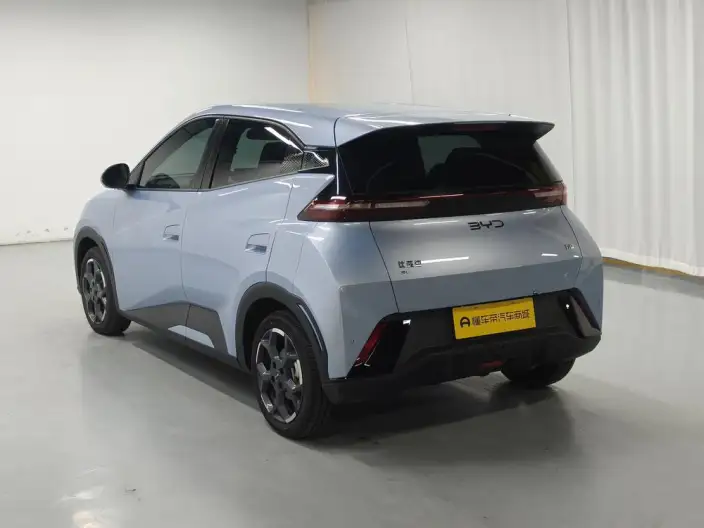 BYD Seagull 2025 Model 305KM Free Edition – фото 5