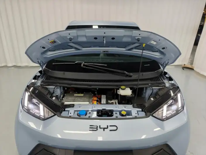 BYD Seagull 2025 Model 305KM Free Edition – фото 10