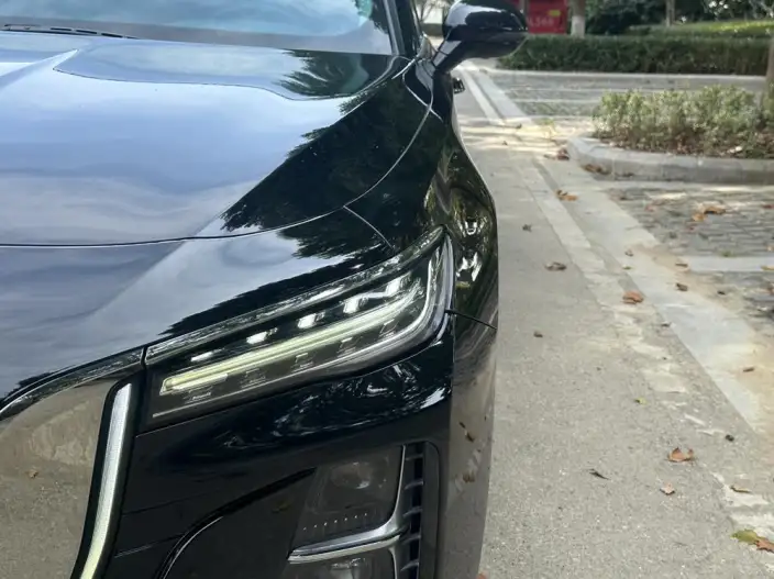 Hongqi H5 2023 Model 2.0T Automatic Flag Enjoy Edition – фото 7