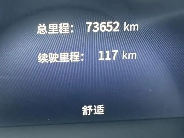 Hongqi H5 2023 Model 2.0T Automatic Flag Enjoy Edition – фото 10