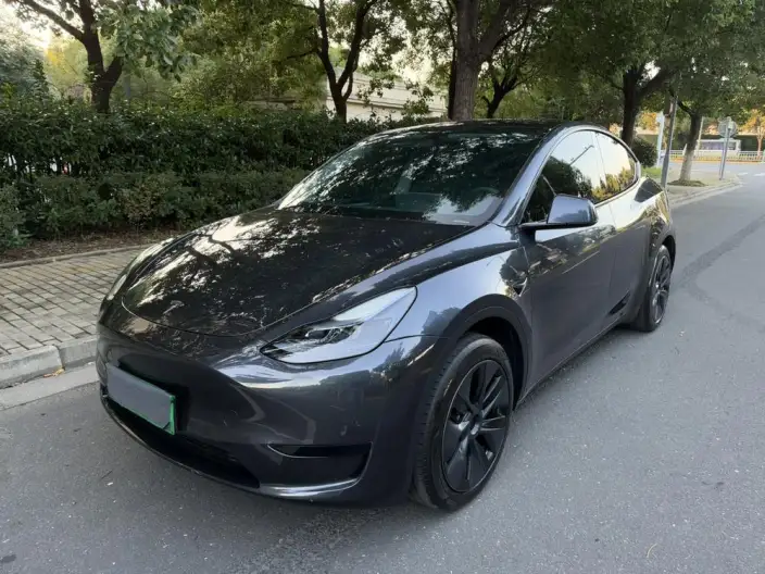 Model Y 2024 Model Rear-wheel drive version – фото 1