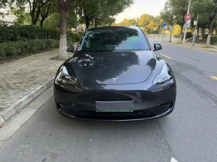 Model Y 2024 Model Rear-wheel drive version – фото 2