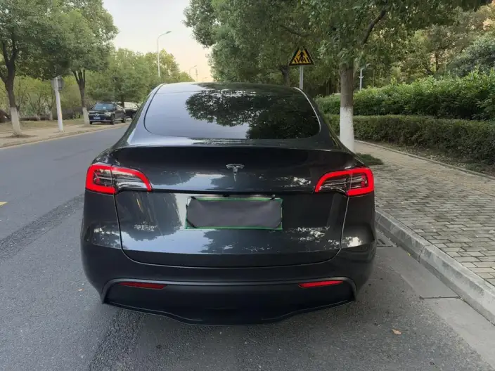 Model Y 2024 Model Rear-wheel drive version – фото 3