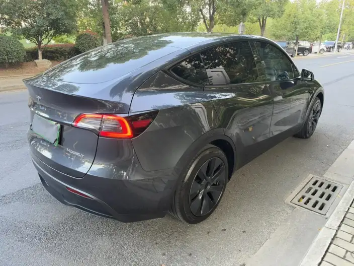 Model Y 2024 Model Rear-wheel drive version – фото 4