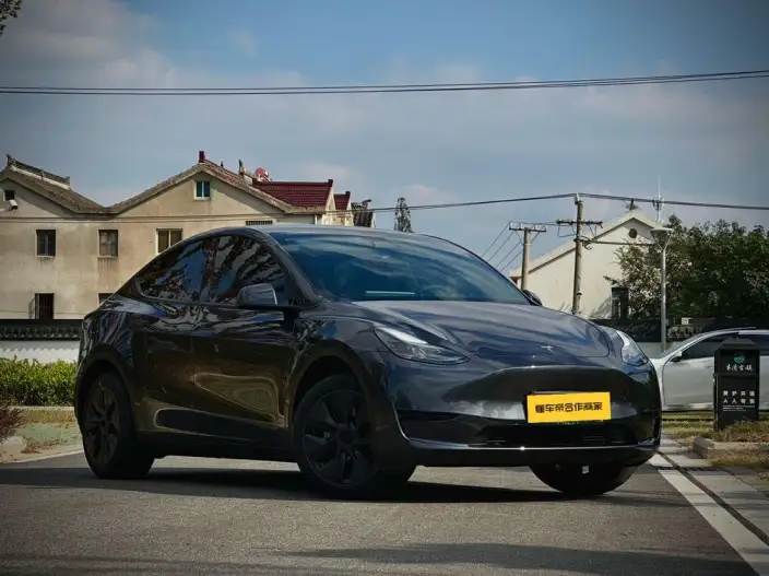 Model Y 2024 Model Rear-wheel drive version – фото 3