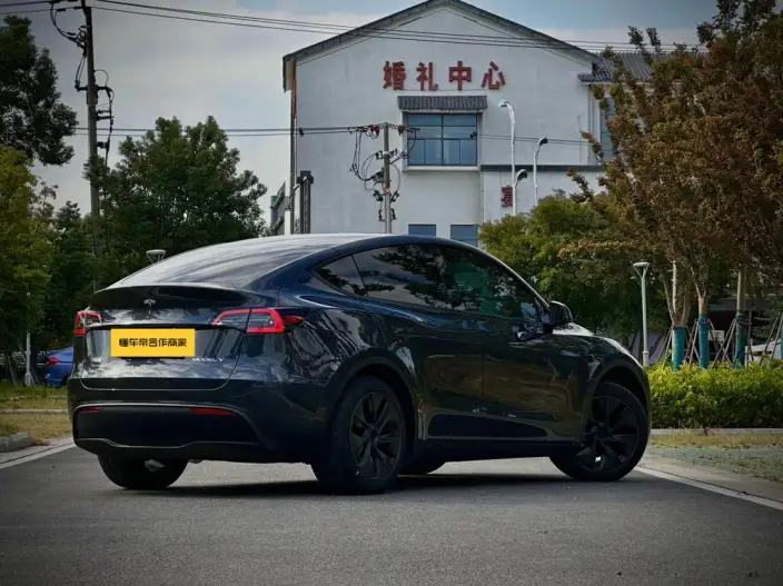 Model Y 2024 Model Rear-wheel drive version – фото 6