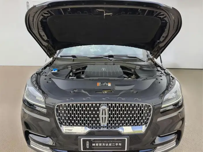 Aviator 2022 Model 3.0T V6 4WD Zunya Edition – фото 6