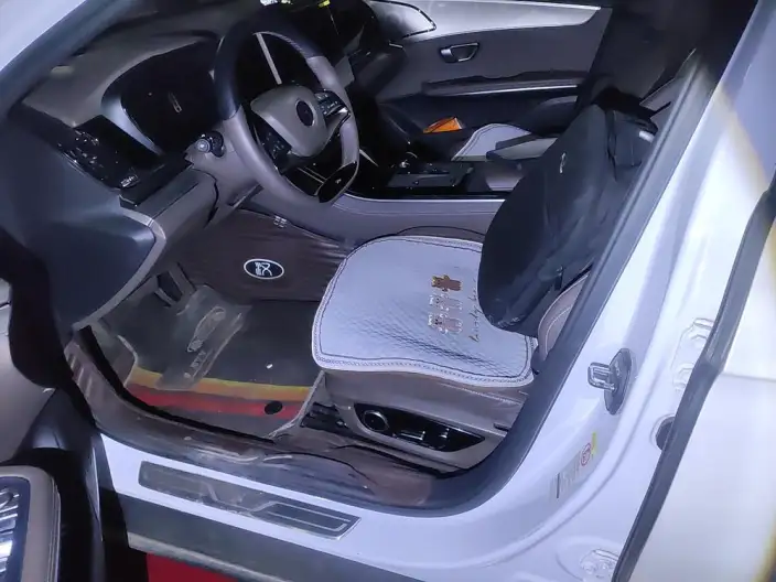 BYD Han EV 2021 Model Standard battery life version Luxury Model – фото 10