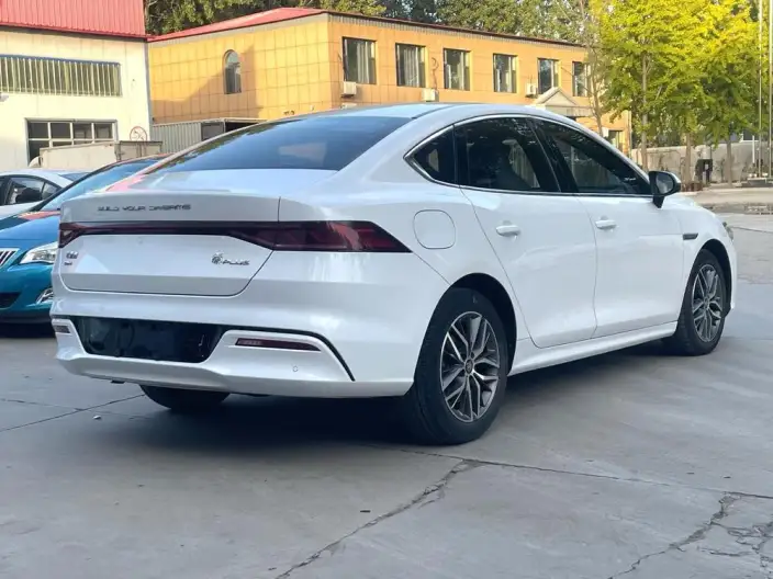 BYD Qin PLUS DM 2021 Model DM-i 55KM Flagship Model – фото 5