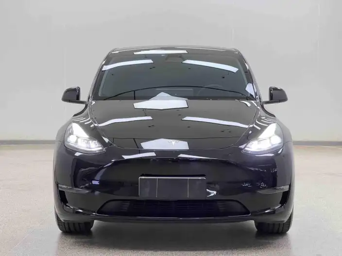 Model Y 2022 Model Facelift Long Battery Life Pro All-wheel drive version – фото 2