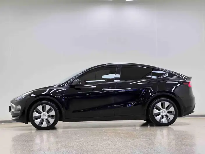 Model Y 2022 Model Facelift Long Battery Life Pro All-wheel drive version – фото 4