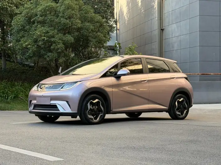 BYD Dolphin 2021 Model Free Edition