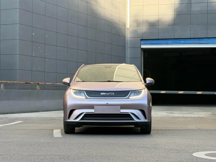 BYD Dolphin 2021 Model Free Edition