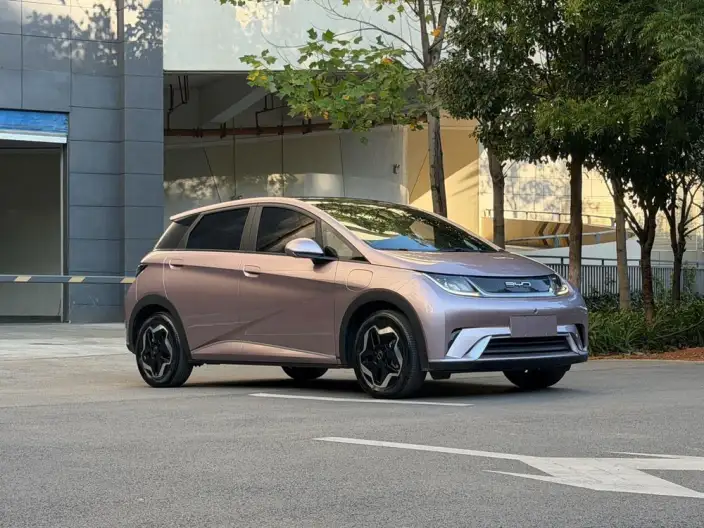 BYD Dolphin 2021 Model Free Edition