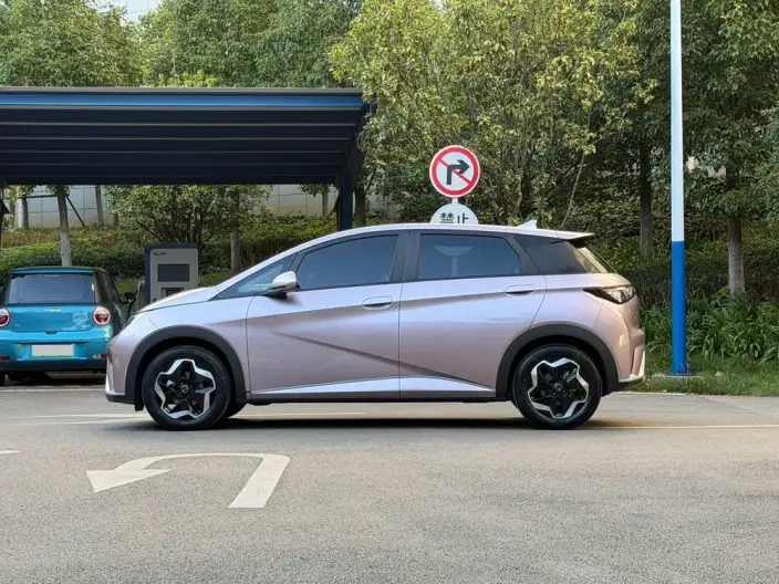 BYD Dolphin 2021 Model Free Edition