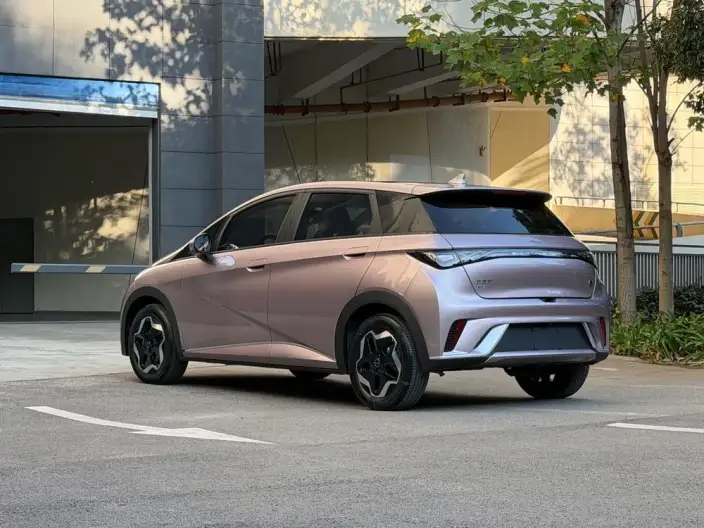 BYD Dolphin 2021 Model Free Edition – фото 5