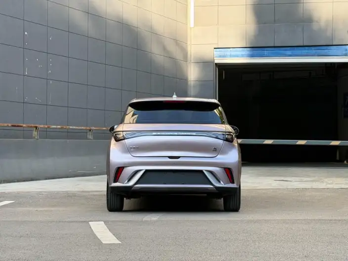 BYD Dolphin 2021 Model Free Edition – фото 6