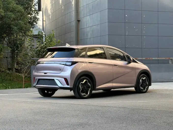 BYD Dolphin 2021 Model Free Edition – фото 7
