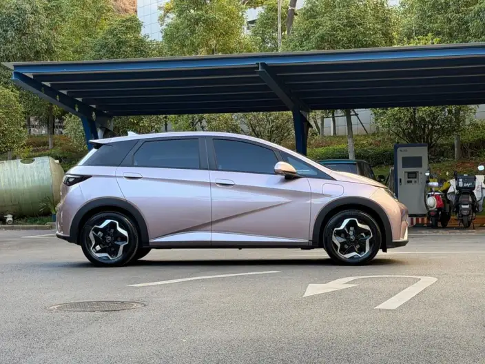 BYD Dolphin 2021 Model Free Edition – фото 8