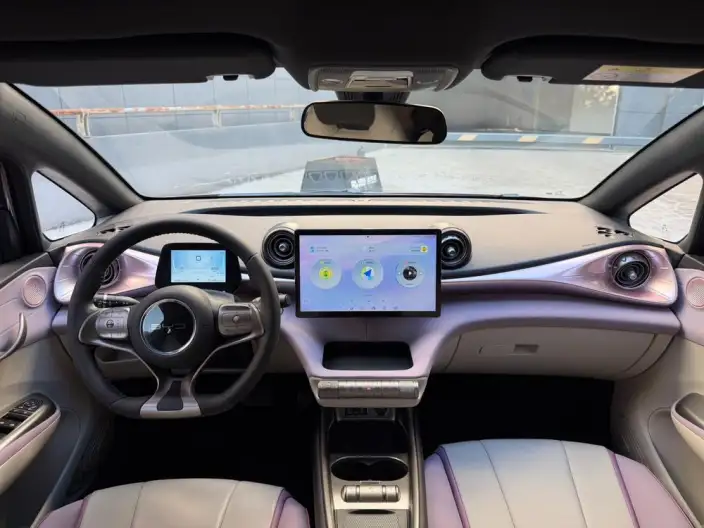 BYD Dolphin 2021 Model Free Edition – фото 10