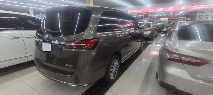 Buick GL8 2023 Model Business class 2.0T Comfort Model – фото 5