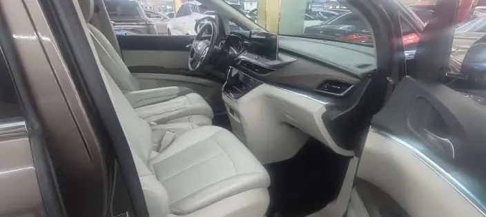 Buick GL8 2023 Model Business class 2.0T Comfort Model – фото 6