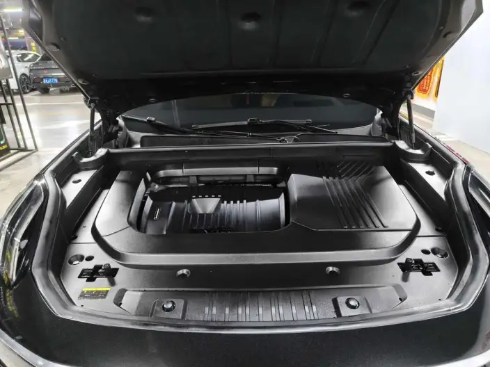 Lynk & Co 09 2024 Model 2.0T 4WD Sports Edition – фото 9