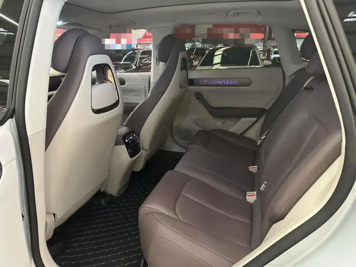 Leapmotor C11 2023 Model 500 Smart Edition – фото 9