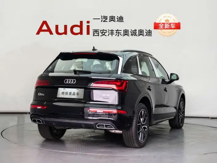 Audi Q5L 2026 Model quattro 45th Anniversary Collector Edition Edition 45TFSI Luxury Dynamic Model – фото 4