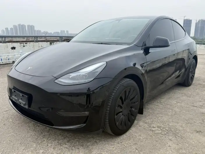 Model Y 2022 Model Long Battery Life Pro All-wheel drive version – фото 1