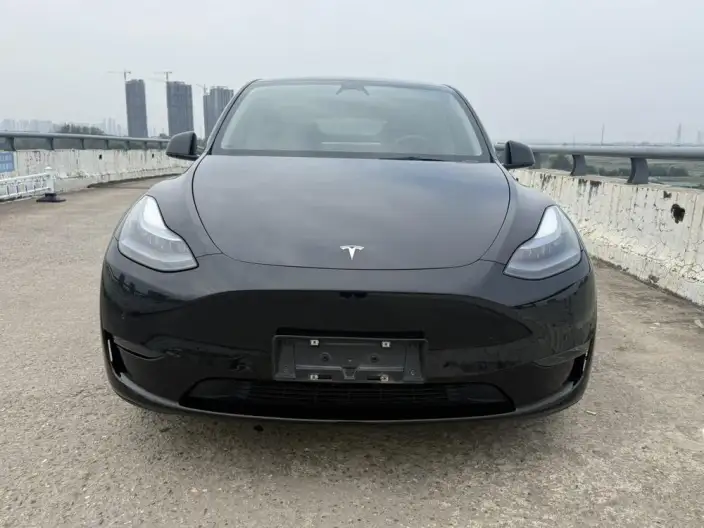 Model Y 2022 Model Long Battery Life Pro All-wheel drive version – фото 2