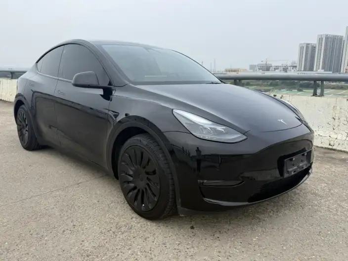 Model Y 2022 Model Long Battery Life Pro All-wheel drive version – фото 3