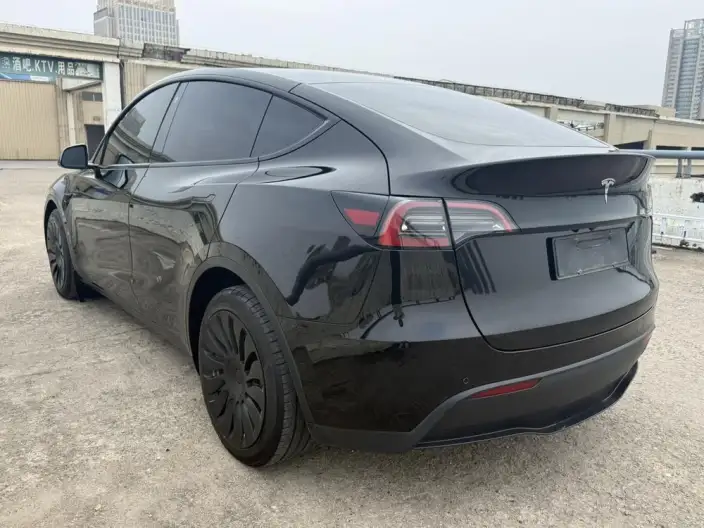 Model Y 2022 Model Long Battery Life Pro All-wheel drive version – фото 4