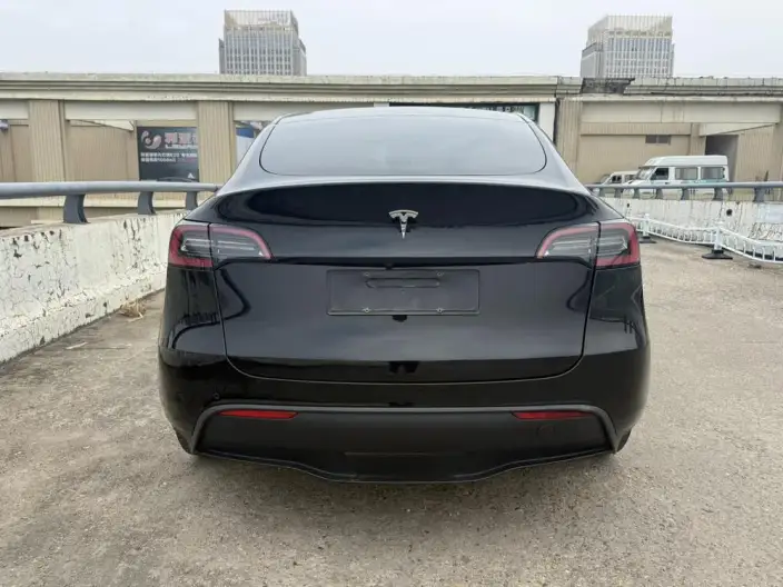 Model Y 2022 Model Long Battery Life Pro All-wheel drive version – фото 5