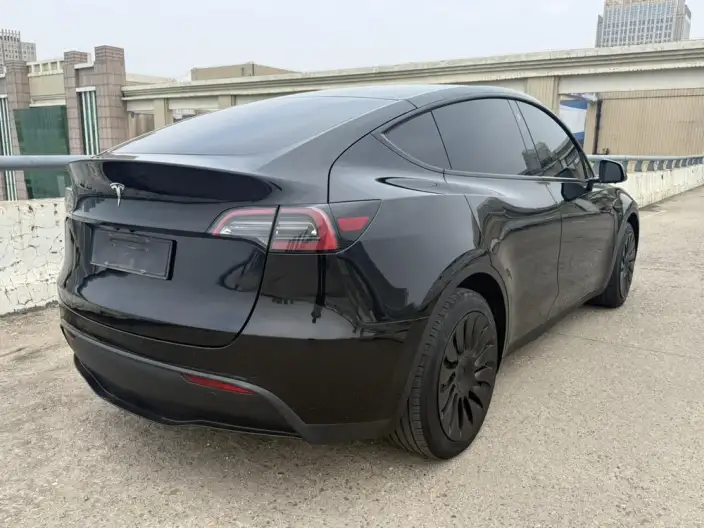 Model Y 2022 Model Long Battery Life Pro All-wheel drive version – фото 6