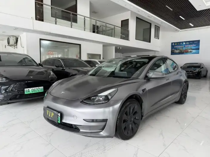 Model 3 2022 Model Rear-wheel drive version – фото 1