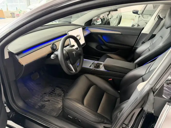 Model 3 2022 Model Rear-wheel drive version – фото 9