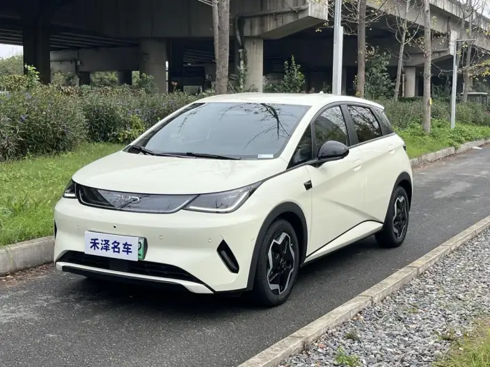 BYD Dolphin 2025 Model Smart Driving Edition 420KM Free Edition – фото 1