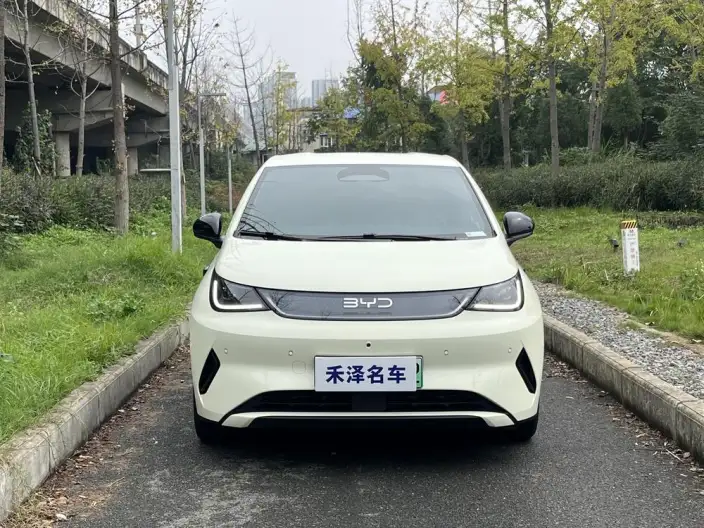 BYD Dolphin 2025 Model Smart Driving Edition 420KM Free Edition – фото 2