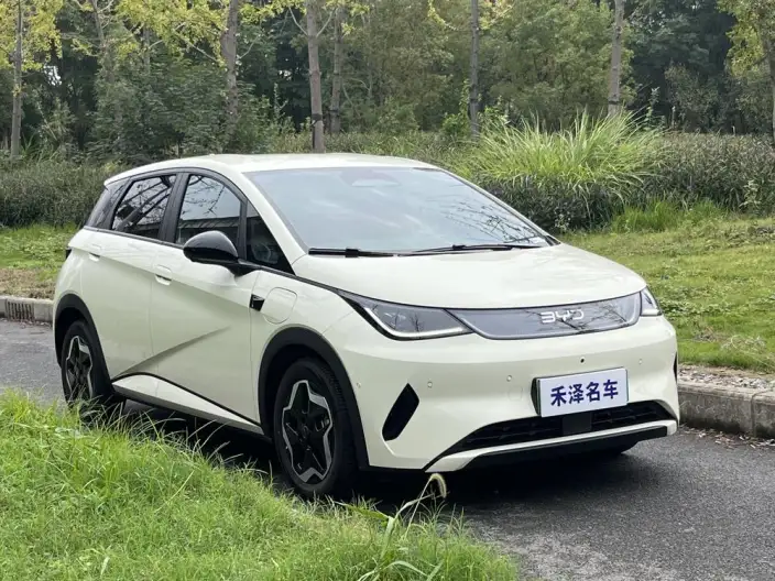 BYD Dolphin 2025 Model Smart Driving Edition 420KM Free Edition – фото 3