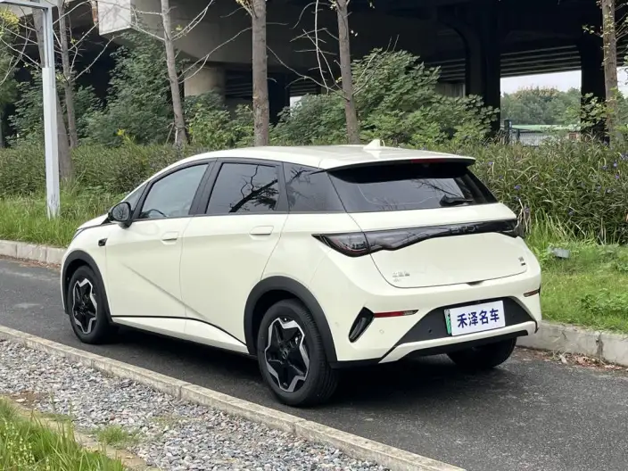 BYD Dolphin 2025 Model Smart Driving Edition 420KM Free Edition – фото 4