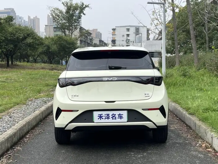 BYD Dolphin 2025 Model Smart Driving Edition 420KM Free Edition – фото 5