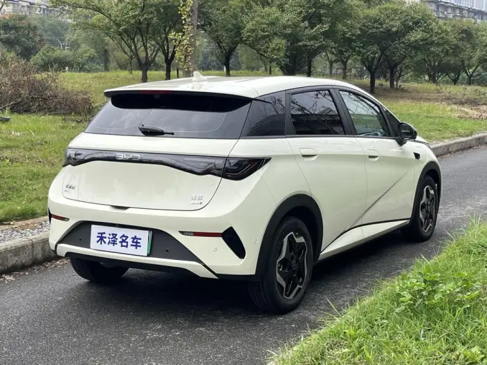 BYD Dolphin 2025 Model Smart Driving Edition 420KM Free Edition – фото 6